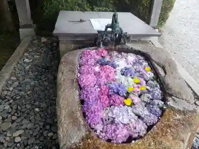 櫟野寺の手水舎