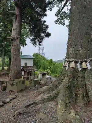 阿久津「田村神社」（郡山市阿久津町）旧社名：伊豆箱根三嶋三社(福島県)