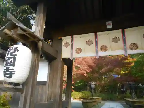 覚園寺の山門・神門