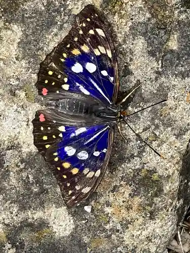 国宝 大法寺(長野県)