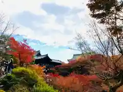 東福禅寺（東福寺）の建物その他