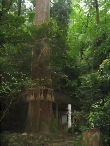 鞍馬寺のその他建物