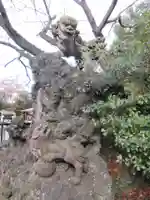 千葉神社の狛犬