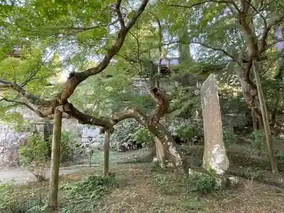観福寺(千葉県)