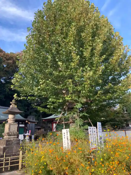 瀧泉寺(目黒不動尊)(東京都)