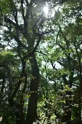 大甕神社(茨城県)