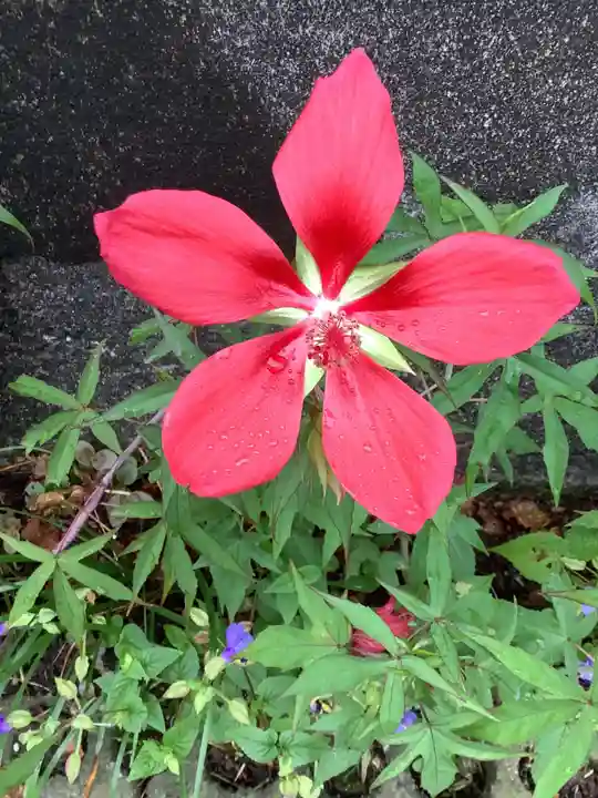 玉野御嶽神社の自然