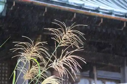 神炊館神社 ⁂奥州須賀川総鎮守⁂の景色