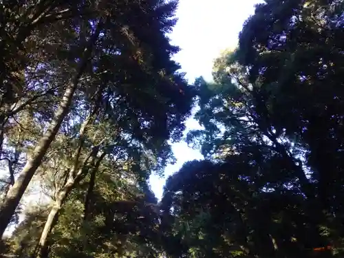 明治神宮(東京都)