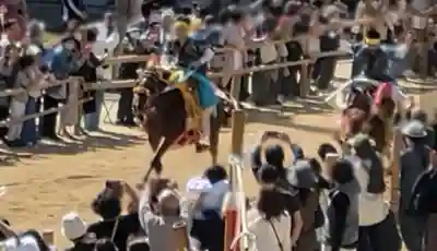 加茂神社(愛媛県)