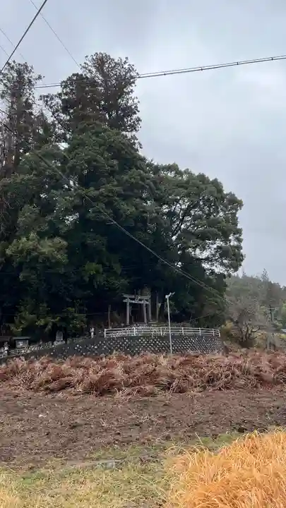 八幡神社(三重県)
