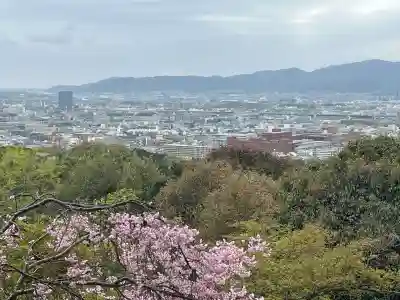 伏見稲荷大社の{uncategorized: "未分類", other: "その他", undefined: "問題あり", building: "その他建物", grave: "お墓", sacred_gate: "鳥居", guardian: "狛犬", statue: "像", buddha: "仏像", history: "歴史", nature: "自然", garden: "庭園", animal: "動物", pagoda: "塔", temizu: "手水舎", mountain_gate: "山門・神門", sanctuary: "本殿・本堂", subordinate: "末社・摂社", art: "芸術", scenery: "景色", jizo: "地蔵", ema: "絵馬", goshuin: "御朱印", omikuji: "おみくじ", items: "授与品その他", amulet: "お守り", goshuincho: "御朱印帳", eats: "食事", festival: "お祭り", votive_dance: "神楽", shichigosan: "七五三参", wedding: "結婚式", experience: "体験その他", initially: "初詣", around: "周辺", anti_infection: "感染症対策"}