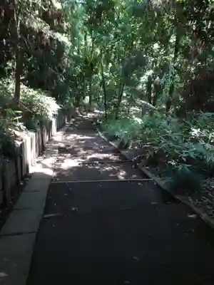 氷川神社の周辺