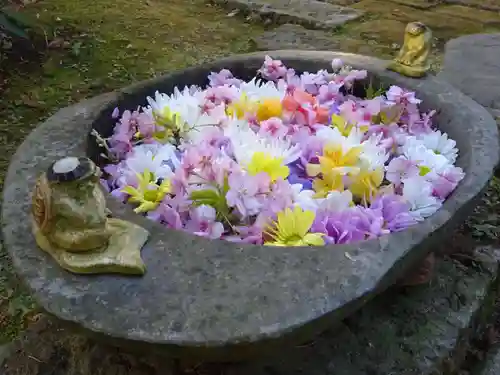 かっぱの寺 栖足寺(静岡県)