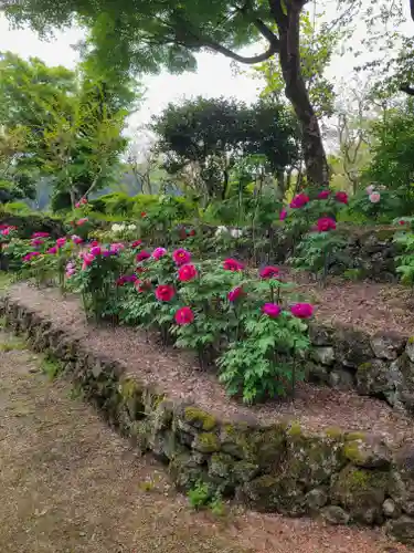 隆国寺(兵庫県)