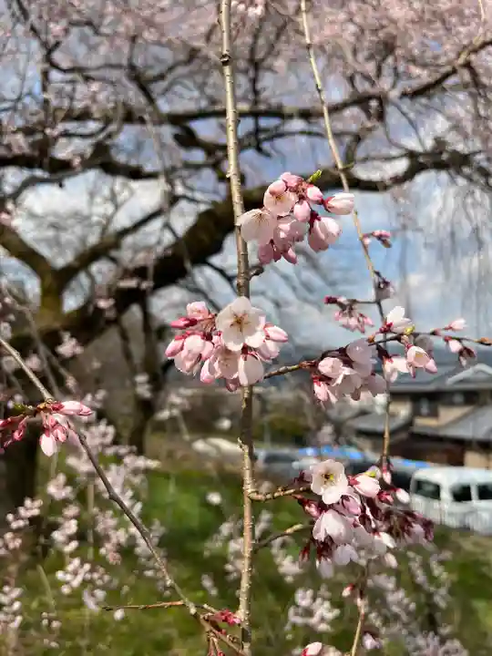 岩屋寺(京都府)