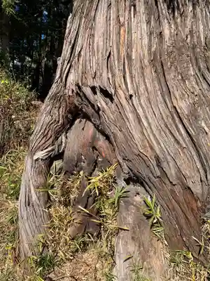 社八幡神社(福島県)