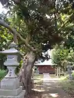 鷲宮神社のその他建物