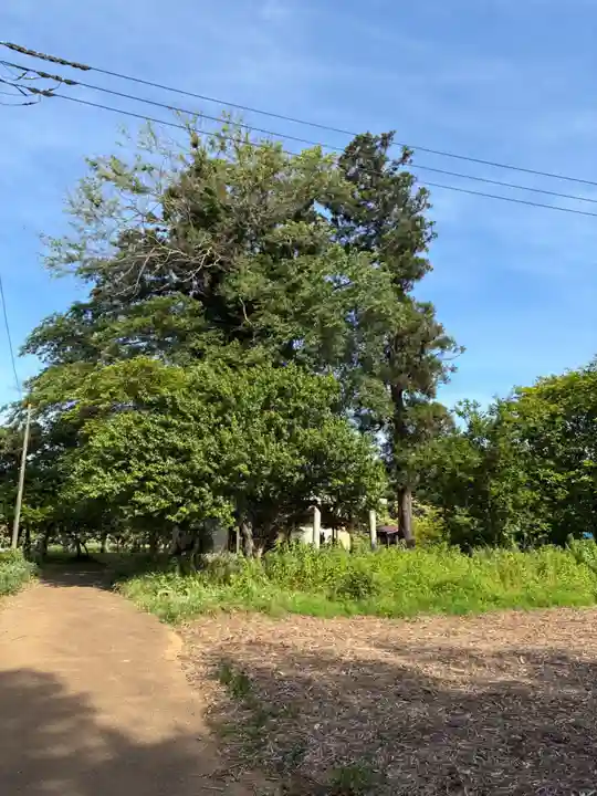日宮神社(千葉県)