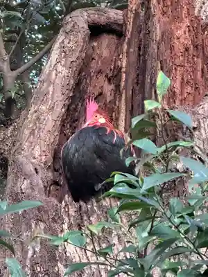 大甕神社(茨城県)