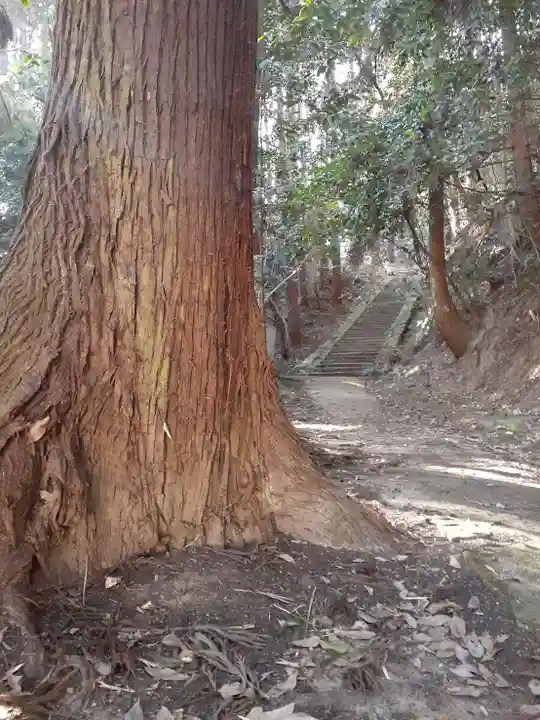 弘仁寺(奈良県)