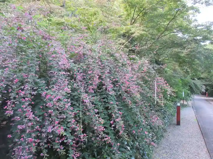 梨木神社の自然