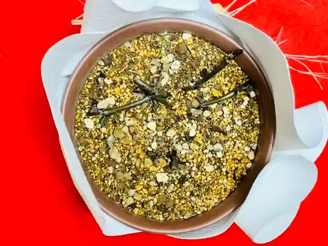 土津神社|こどもと出世の神さまの自然