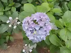 阿部野神社の自然