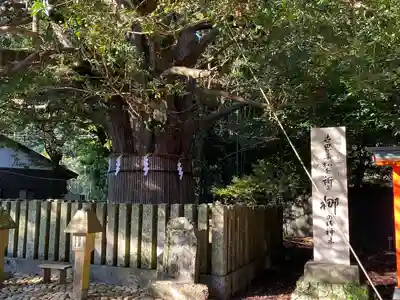 熊野速玉大社(和歌山県)