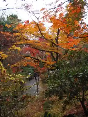 天龍寺(京都府)