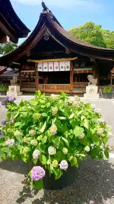 尾張大國霊神社(国府宮)の本殿・本堂