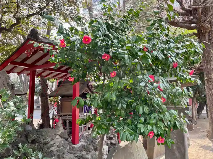 花園神社の自然