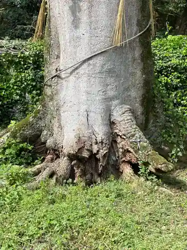 兵主神社(兵庫県)