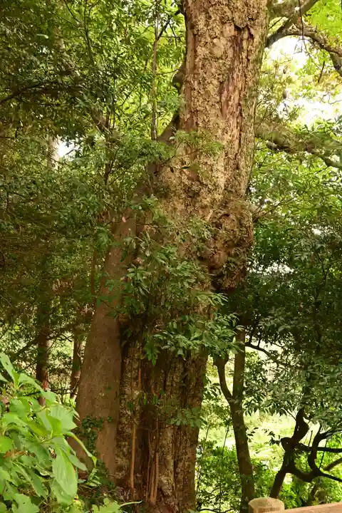一畑薬師(島根県)