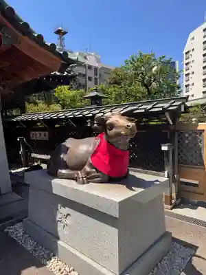 湯島天満宮の狛犬
