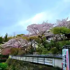 岩水寺の自然