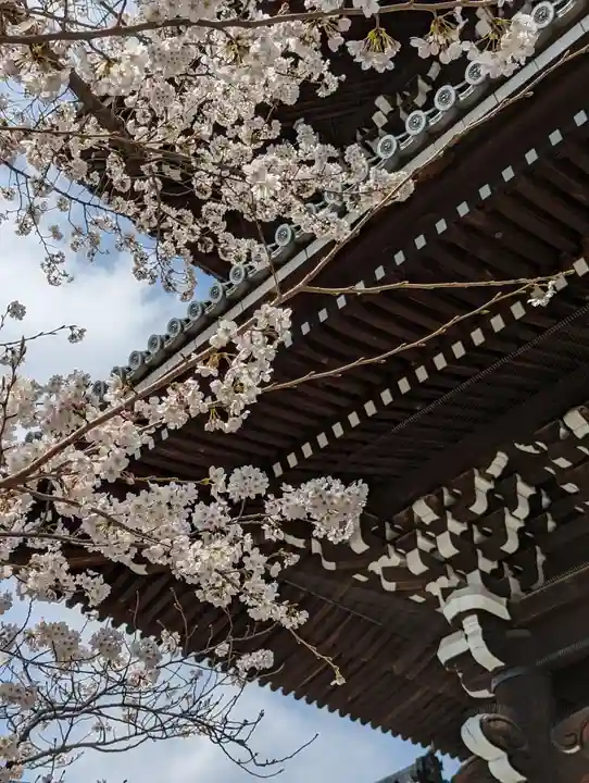 くろ谷 金戒光明寺(京都府)
