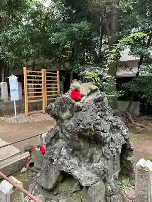 駒込稲荷神社(東京都)