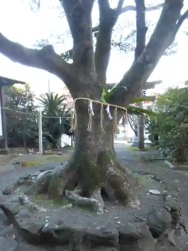 吾平津神社(宮崎県)