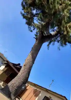 熊野神社(宮城県)