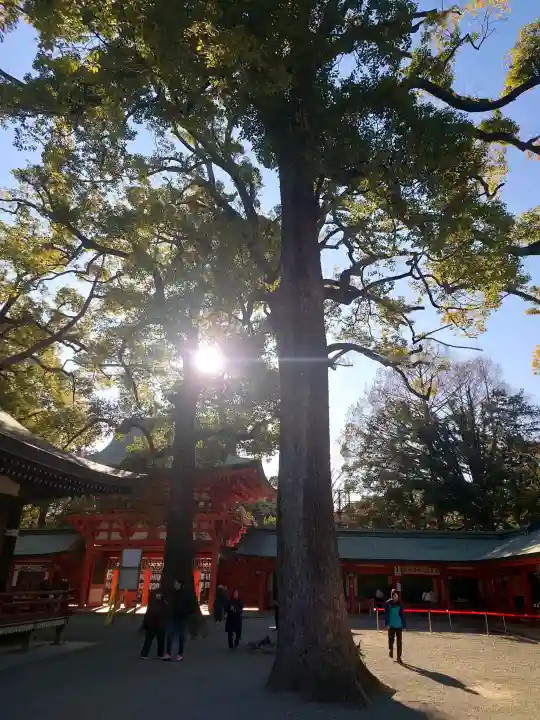 武蔵一宮氷川神社の{uncategorized: "未分類", other: "その他", undefined: "問題あり", building: "その他建物", grave: "お墓", sacred_gate: "鳥居", guardian: "狛犬", statue: "像", buddha: "仏像", history: "歴史", nature: "自然", garden: "庭園", animal: "動物", pagoda: "塔", temizu: "手水舎", mountain_gate: "山門・神門", sanctuary: "本殿・本堂", subordinate: "末社・摂社", art: "芸術", scenery: "景色", jizo: "地蔵", ema: "絵馬", goshuin: "御朱印", omikuji: "おみくじ", items: "授与品その他", amulet: "お守り", goshuincho: "御朱印帳", eats: "食事", festival: "お祭り", votive_dance: "神楽", shichigosan: "七五三参", wedding: "結婚式", experience: "体験その他", initially: "初詣", around: "周辺", anti_infection: "感染症対策"}