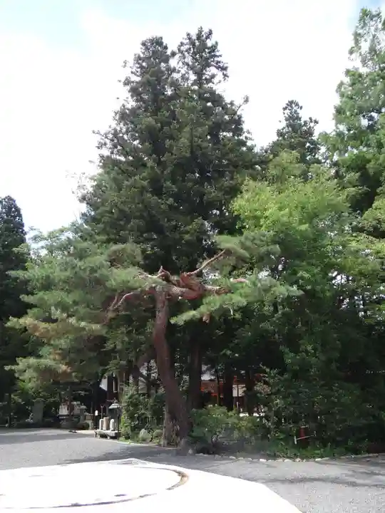 穂高神社本宮(長野県)