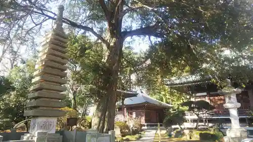 安養院の塔