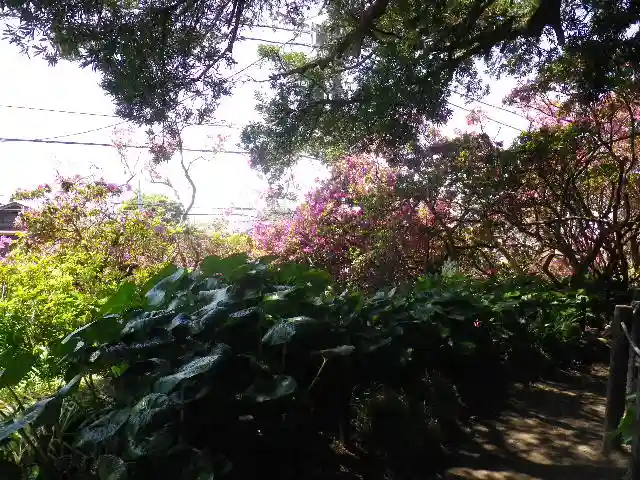 安養院 (田代寺)の自然