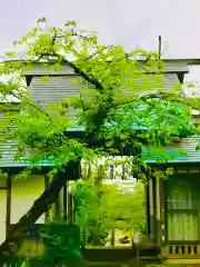 青麻神社(茨城県)