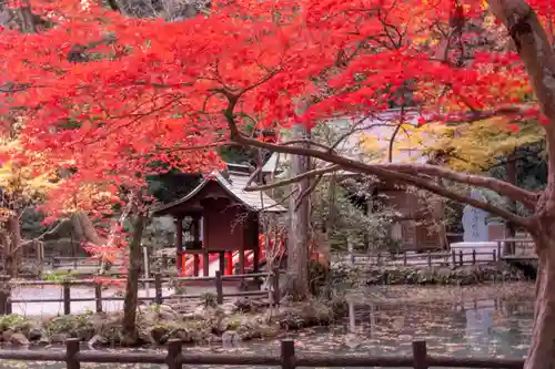 小國神社(静岡県)