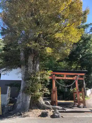 紀部神宮(大阪府)