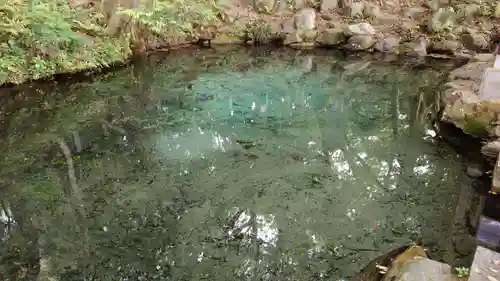 泉神社(茨城県)