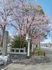 比布神社の自然