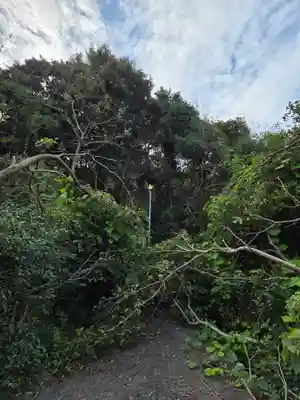 白羽神社(静岡県)